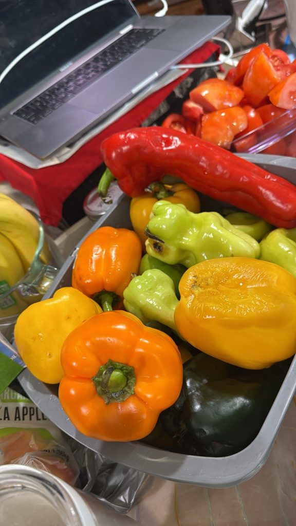 Assorted fresh red, orange, yellow, and green sweet and hot peppers gathered for homemade Roasted Harvest Chili.