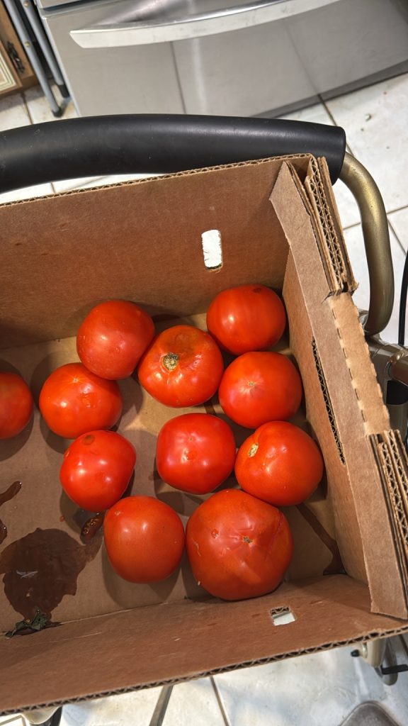 Fresh red tomatoes in a cardboard produce box, purchased at a market for HeavenSpun Home's Roasted Harvest Chili.